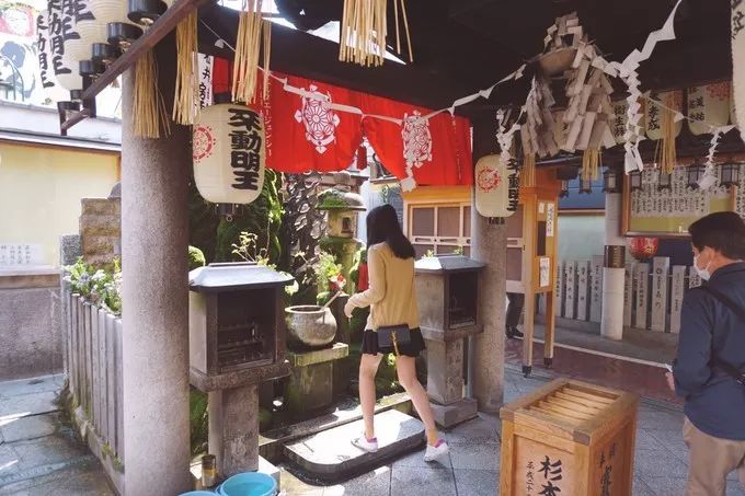 日本的樱花又开了哦,日本樱花又开了是什么梗