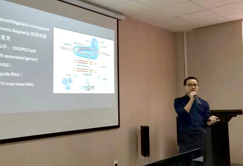 如何利用专利创新抢占技术制高点,科技创新抢占发展制高点