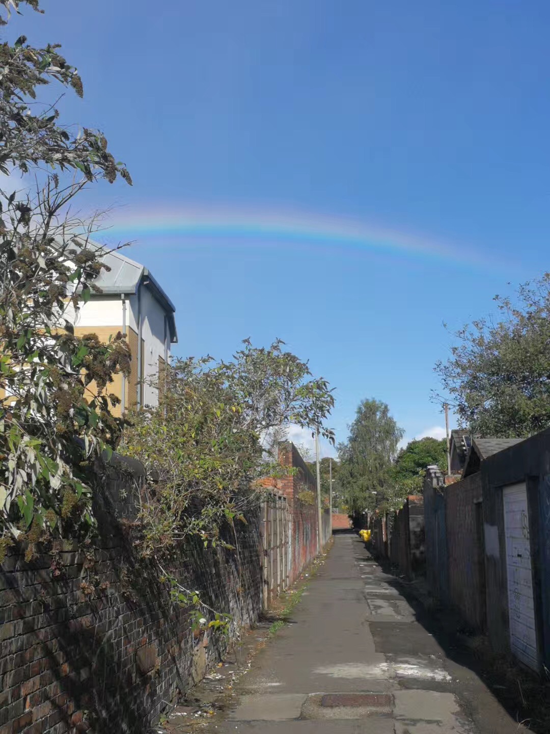 卡迪夫大学世界排名2024,卡迪夫城市大学世界排名