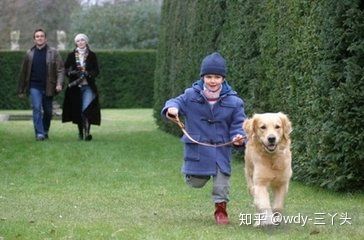 关于自闭症的电影,自闭症天才电影