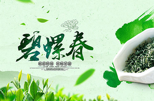 苏州碧螺春茶因为什么而著称,十大名茶之碧螺春