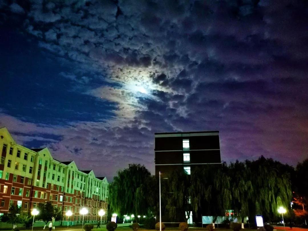 沈阳化工大学辽宁省排名,沈阳化工大学2020招生计划辽宁省