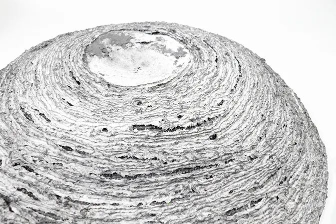 日本艺术留学毕业展,世界顶尖美院作品