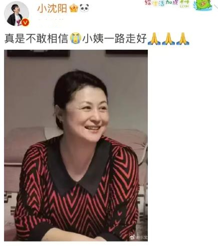 谢大脚车祸去世现场,谢大脚车祸去世她有孩子吗