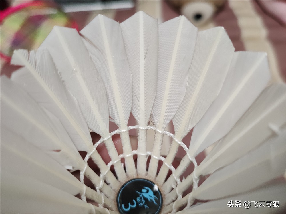 柏圣羽毛球测评,飞云零狼羽毛球怎么样