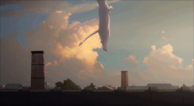 这部温情的撸猫片,让我哭得溃不成军,这是全世界猫*党**的胜利