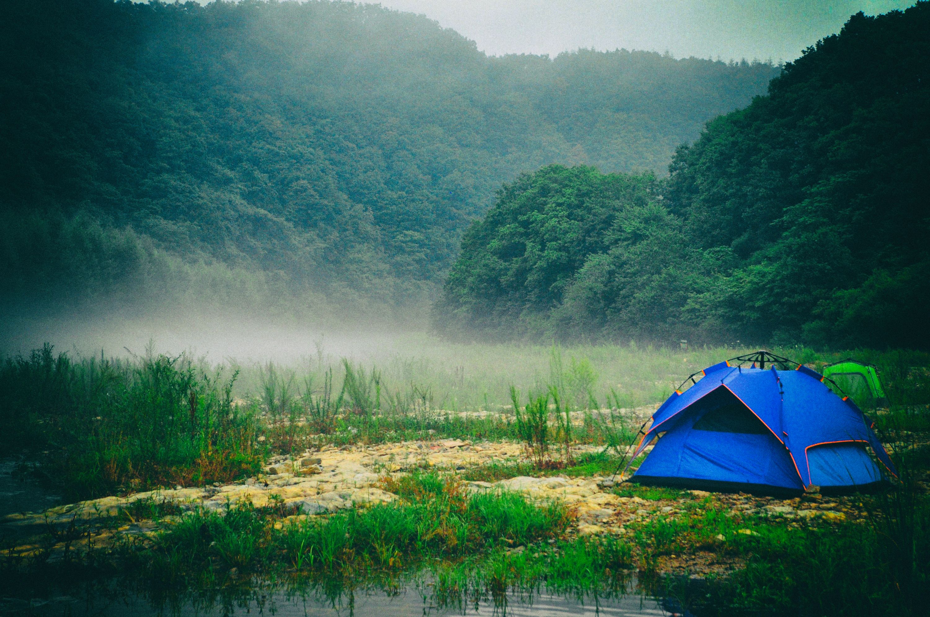 我的旅行群几百人，85%女性、我是群主，说说群里的那些奇葩事儿
