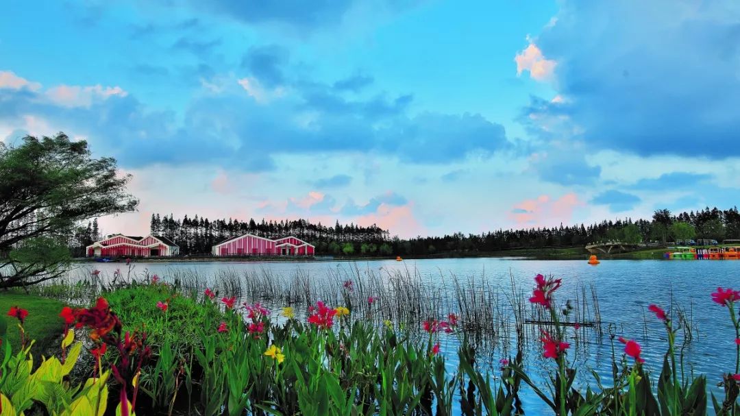 上海国庆小众旅行攻略路线图,上海出发国庆旅游攻略推荐