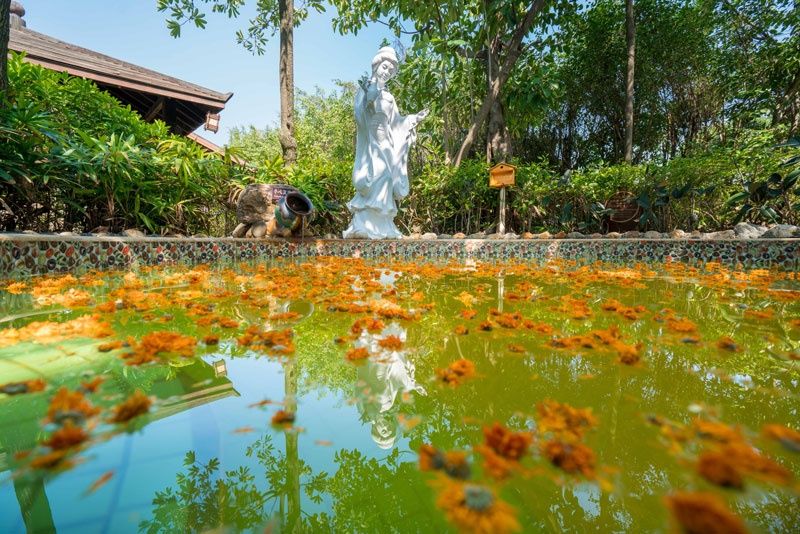 厦门天沐温泉恐龙侏罗纪,厦门天沐杏博湾温泉度假村
