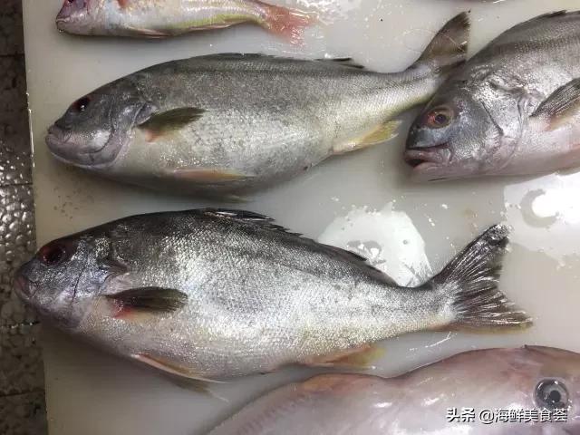 常见的鱼虾蟹等海鲜的认识,虾蟹类海鲜大全