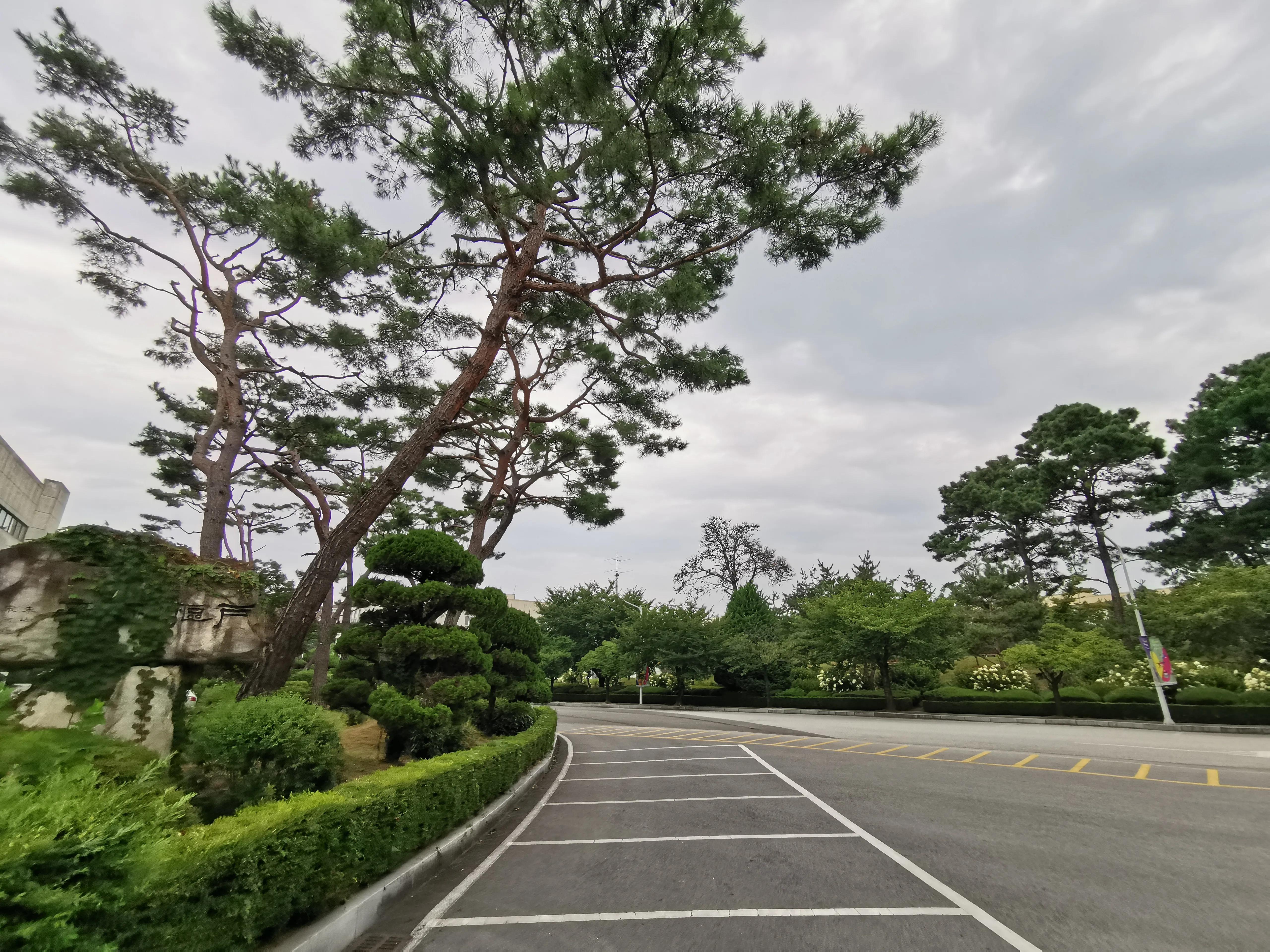 回国隔离时间7天,回国人员集中隔离后怎么回家