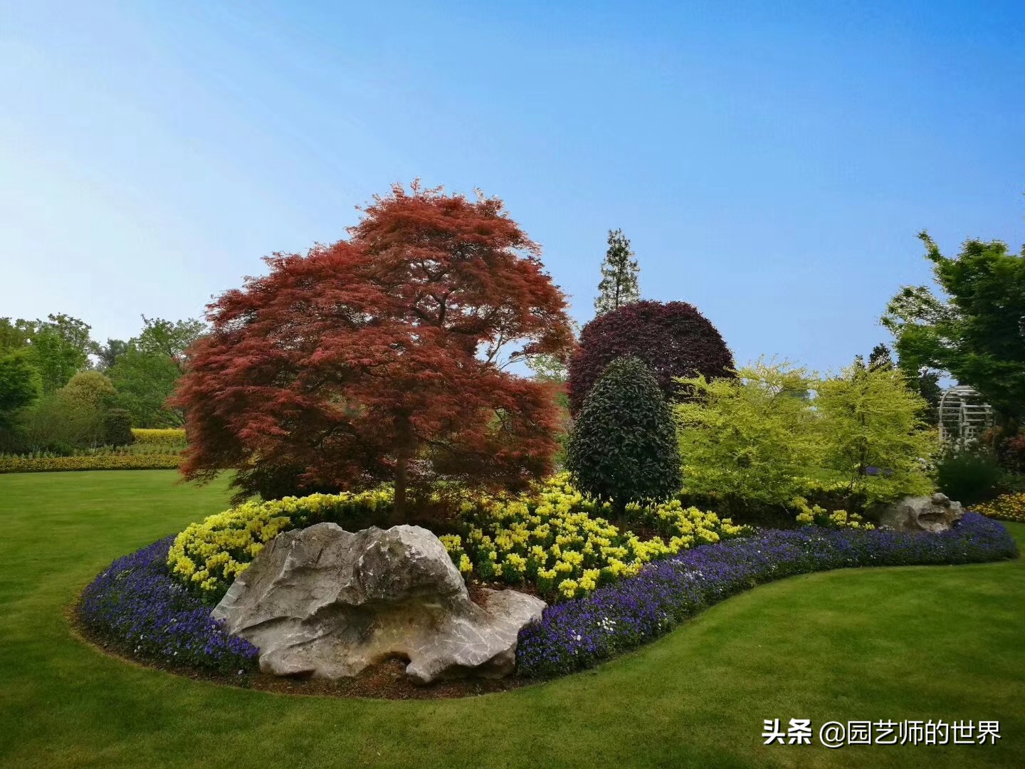 城市蔬菜园景观设计,蔬菜花园造型