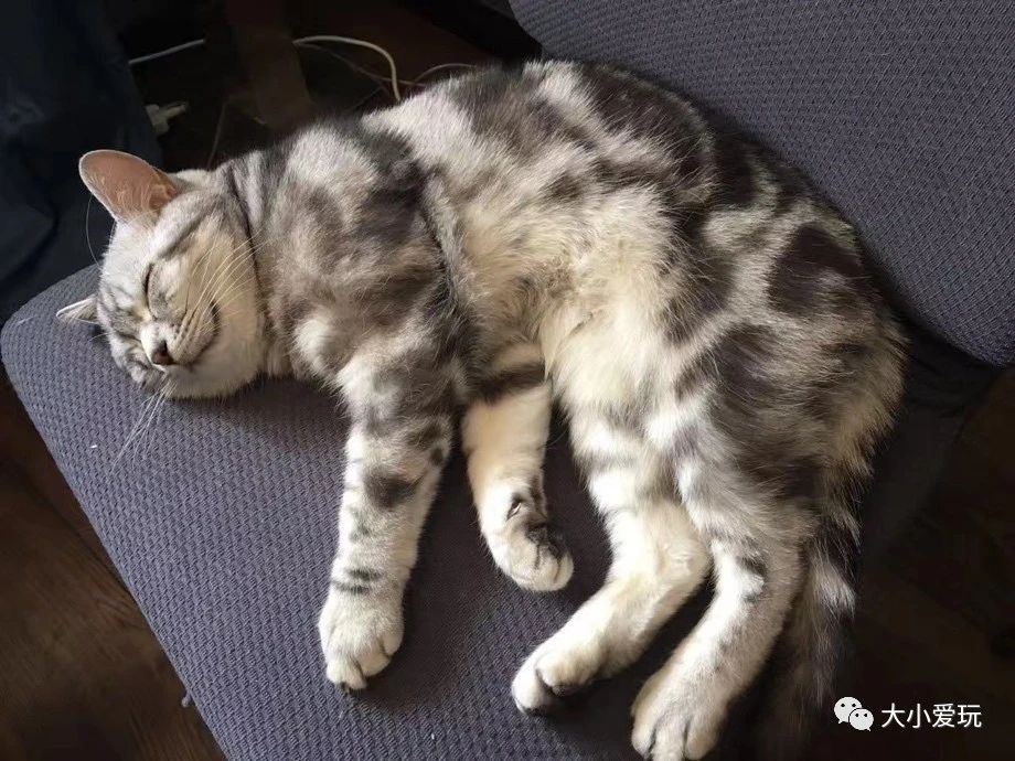 遛娃好去处暑假带娃去哪儿玩呢,一秒穿越到国外的地方