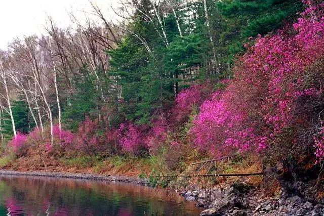 五一最佳游玩地,五一风景最好的自驾游