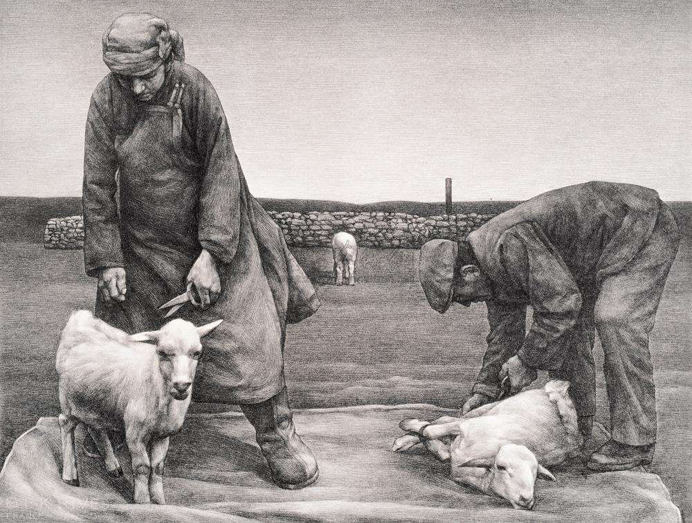 技术羊毛,薅羊毛技术