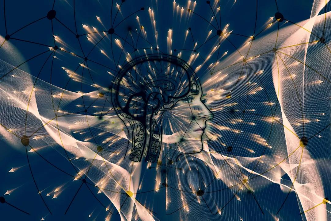 从信息到知识是数字化的关键,从数据到信息到知识