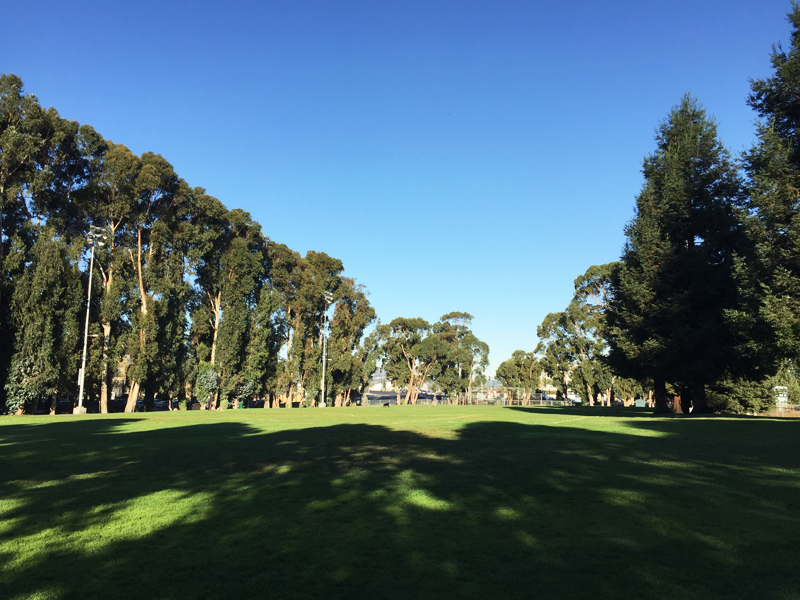 美国旧金山市规划,美国旧金山公园