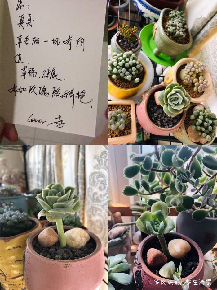 澶忚姳鏈夊摢浜涜姳,澶氳倝鏈夎姳鏈夋灉