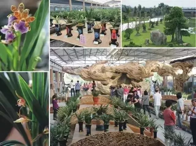 汕头揭阳旅游必去十大景点,汕头饶平旅游景点推荐自驾游