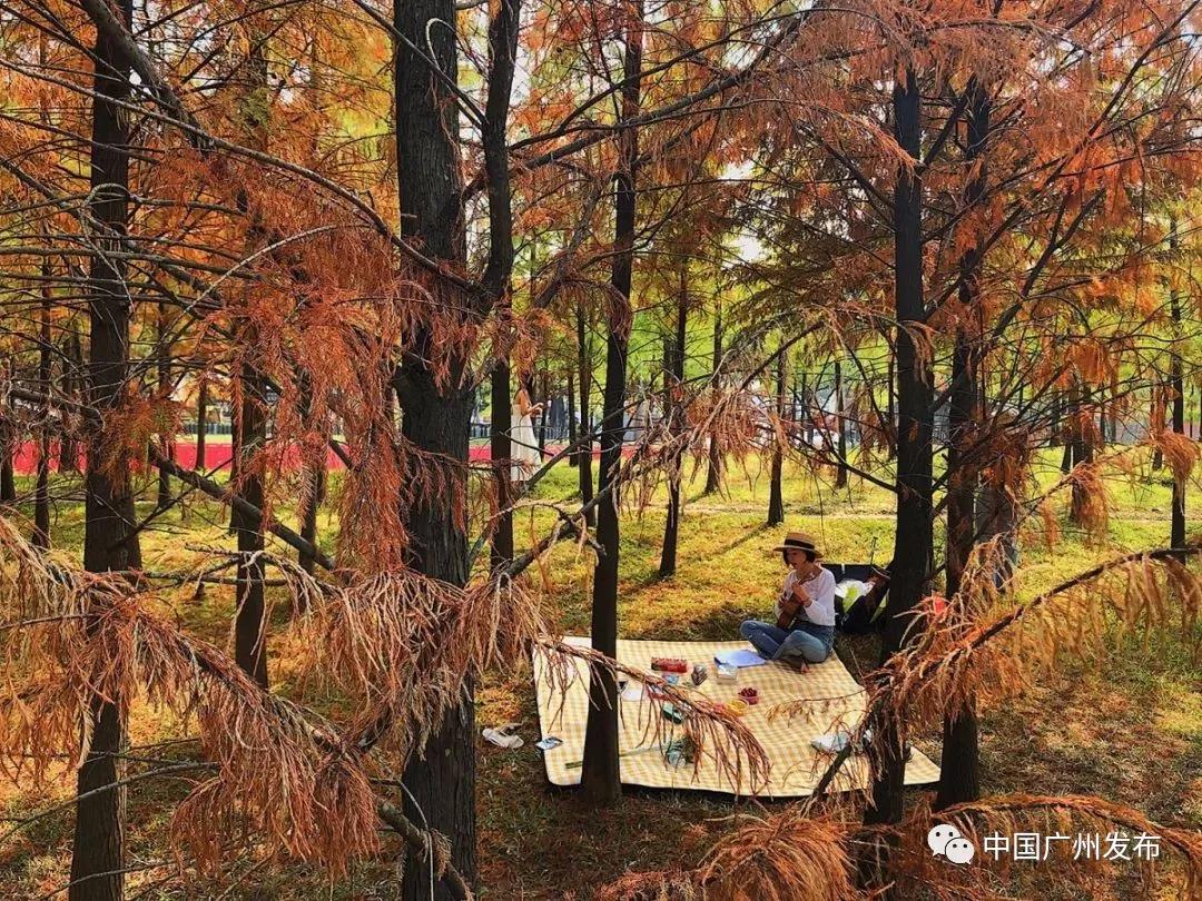 宝藏新公园周末好去处快来打卡,必打卡的宝藏公园