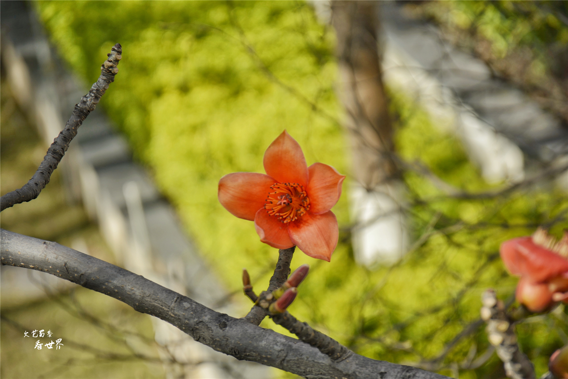四川攀枝花适合过冬养老吗,攀枝花哪里成都人过冬最好