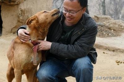 农村的祭祀习惯，人不吃的东西不能给逝者当祭品，尤其是这两种肉