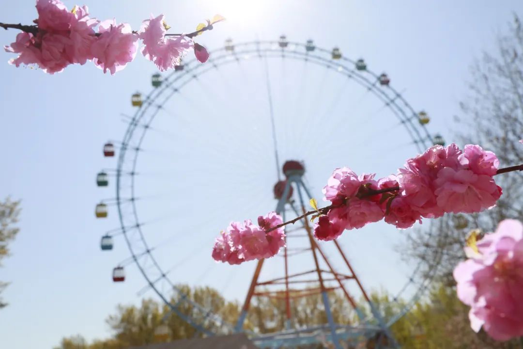 趣游南娱嗨翻天，你想玩的都在这里