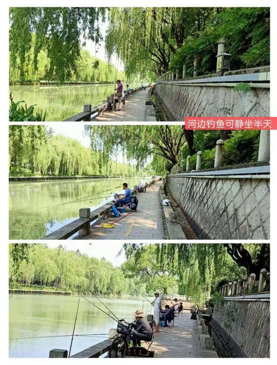 紫金港绿道钓鱼,紫金港河钓鱼
