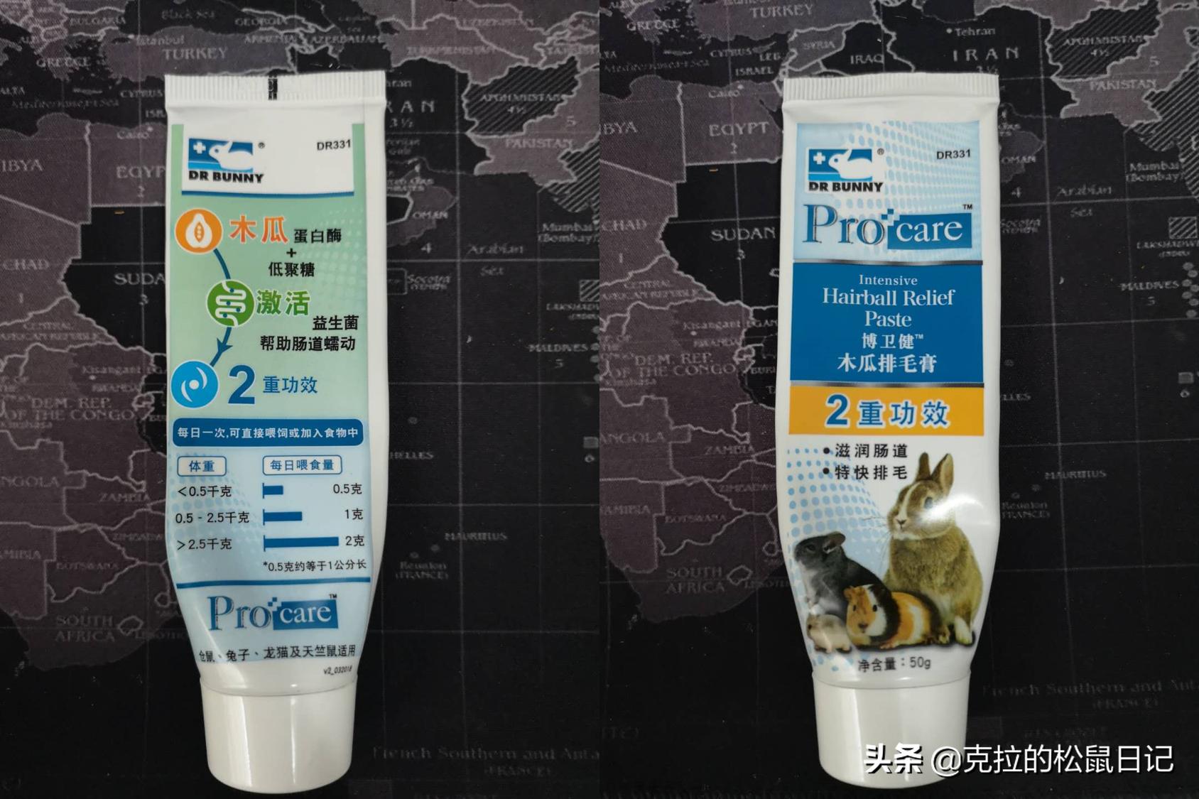 松鼠换夏毛需要注意什么,松鼠换毛是怎么换的