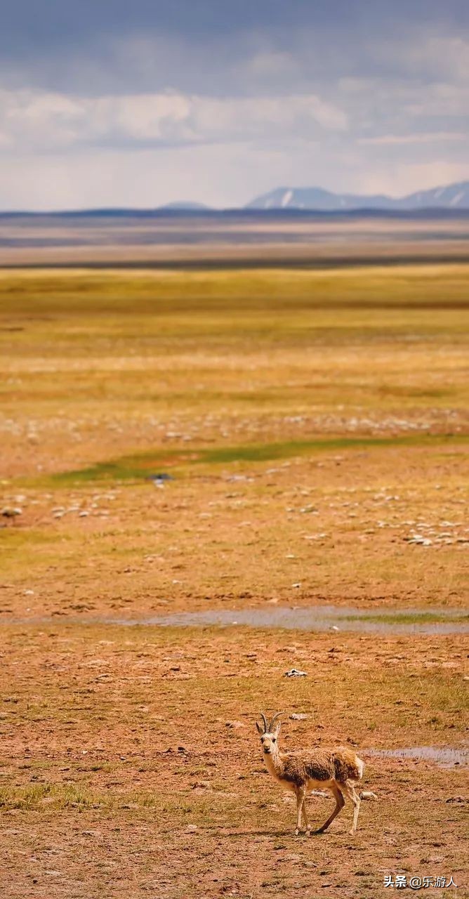 一定要去的五十个最美的地方中国,一生中必去中国100个最美的地方