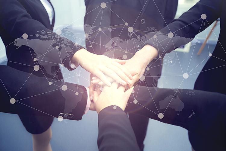 择良木而栖的上句,择良木而栖上一句话