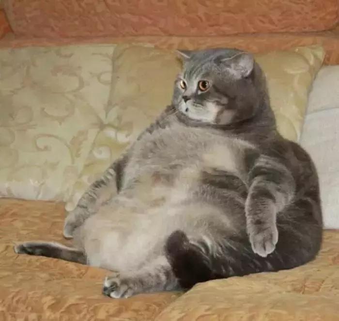 10块当300块用？这9个平替千万别踩雷！