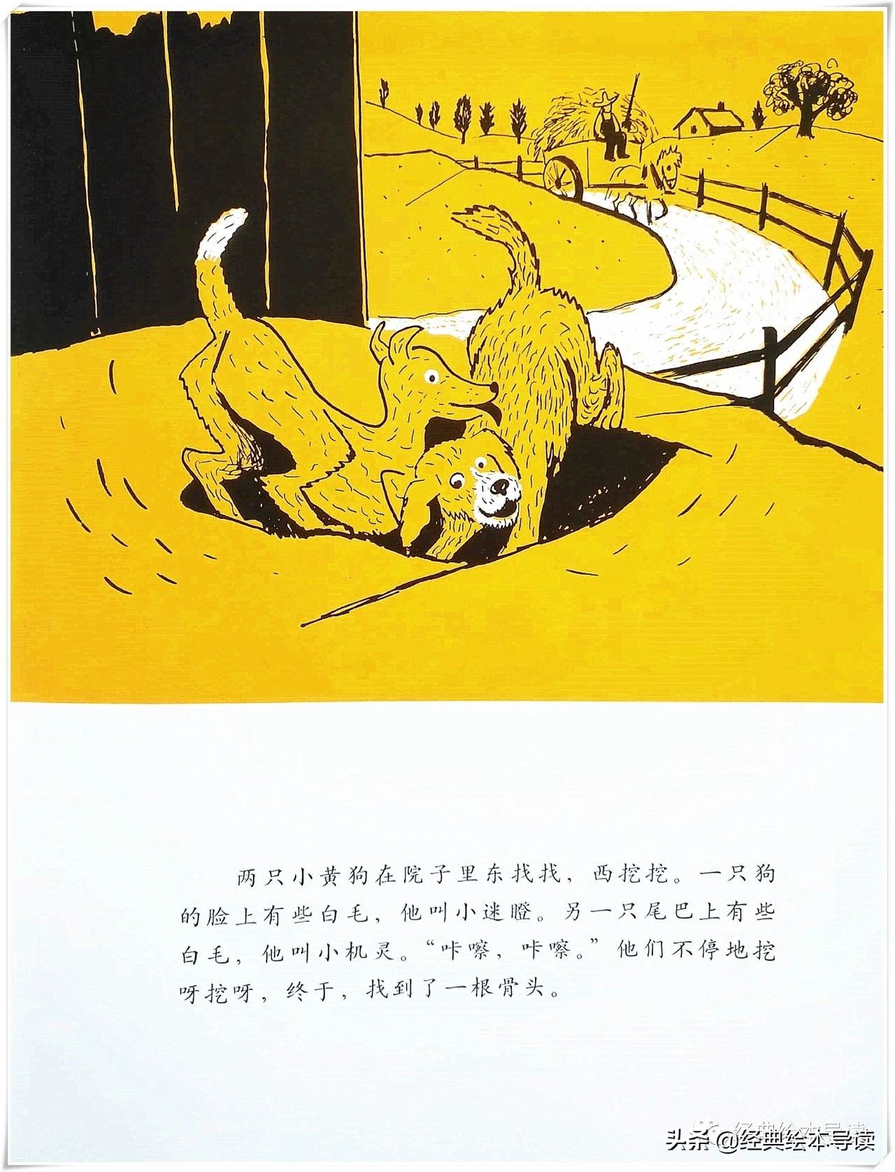 分享是最快的成长,分享是最好的成长