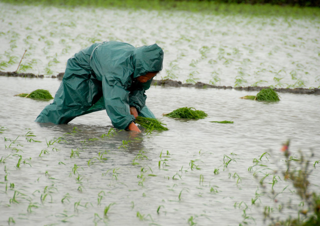 农民愿意一直做农民吗,我为什么要当农民