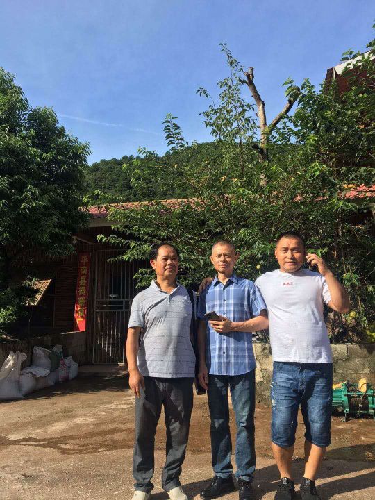 全国评酒深度解析,中国第一届评酒大会