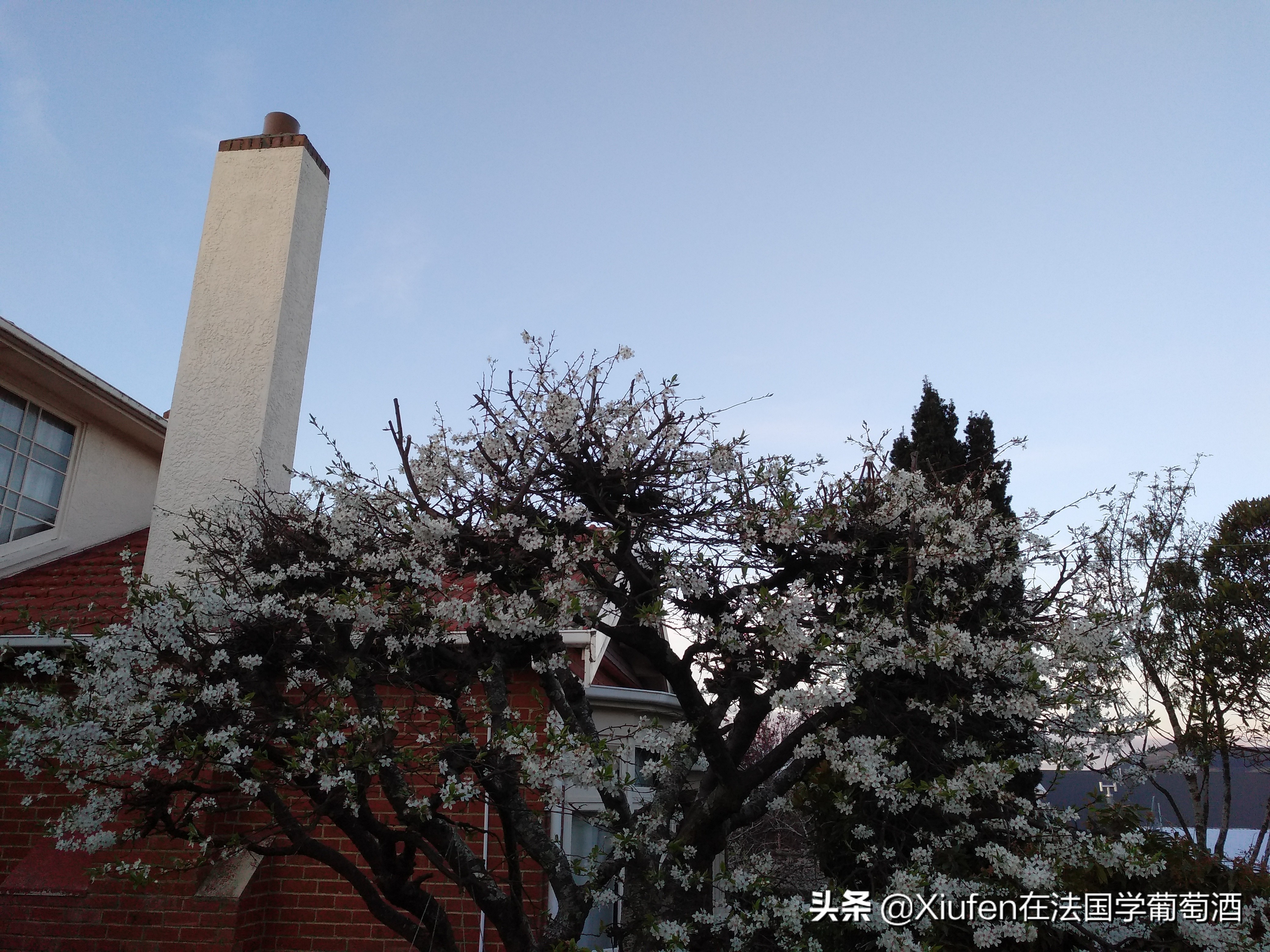 我到过的那些世界非著名城市之新西兰但尼丁DunedinNZ