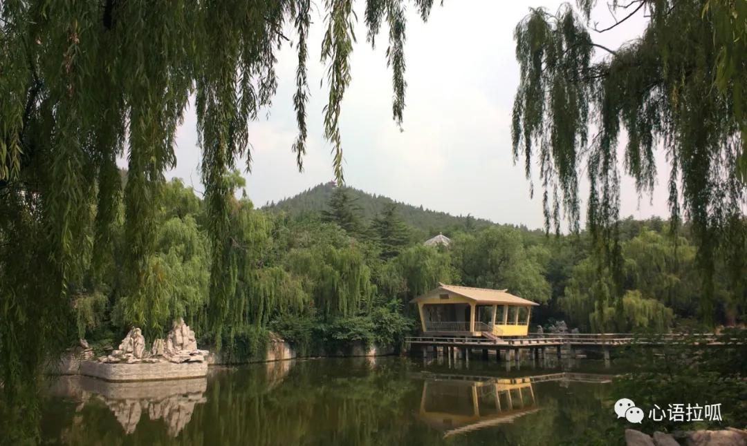 淄博曾经有合成氨和三十万