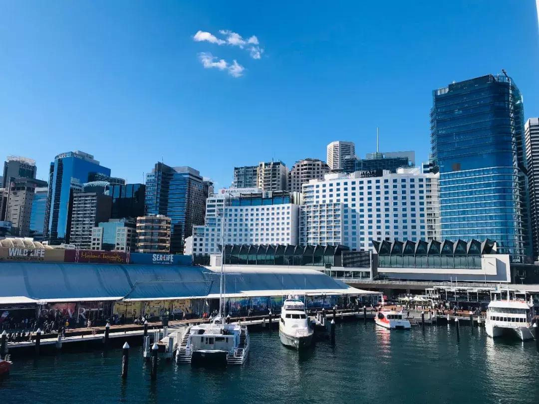 澳元汇率骤跌,澳元汇率近五年走势