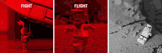 各种小动物是怎样装死的,动物装死是什么