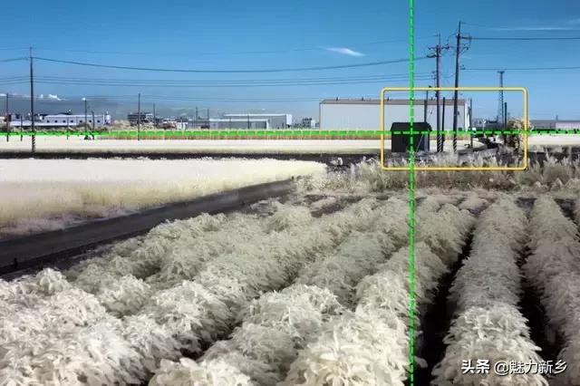 拍摄构图中常用的5种景别,摄影技巧三分法