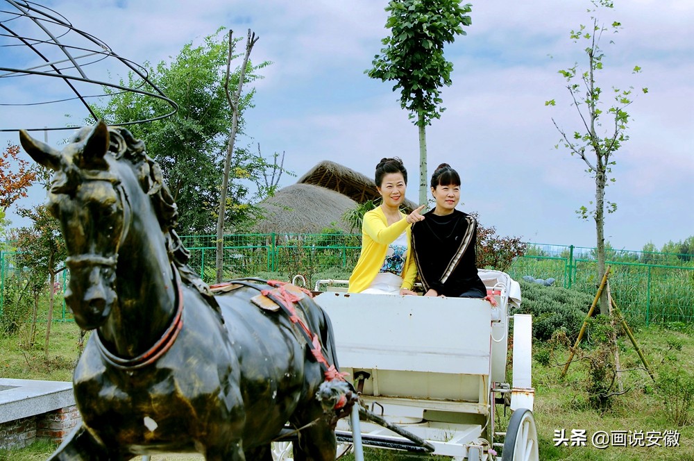 蚌埠禾泉小镇花海门票,游禾泉小镇