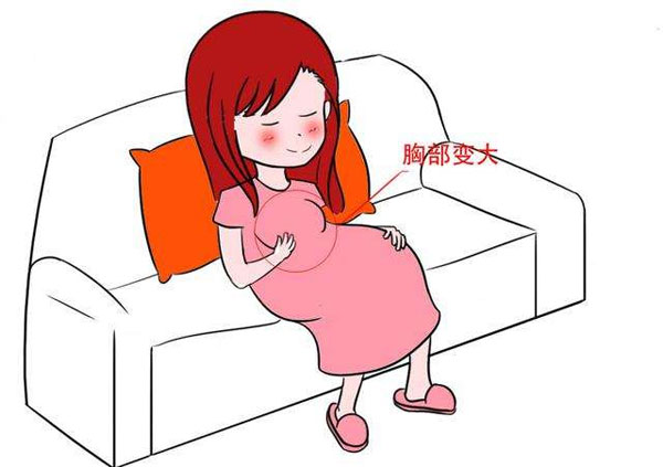 孕妇在前三个月都应该注意什么,孕期前三个月应该多注意什么