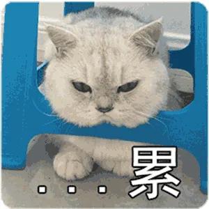 宜家在中国面临的挑战,宜家加速开店