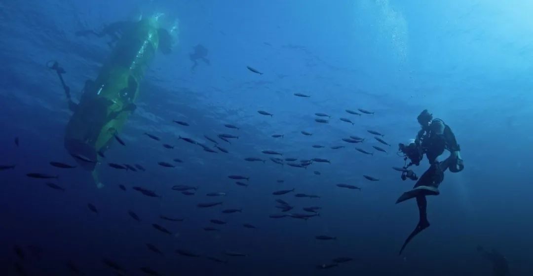 今年劳力士新品发布会,劳力士新品发布会时间2023年