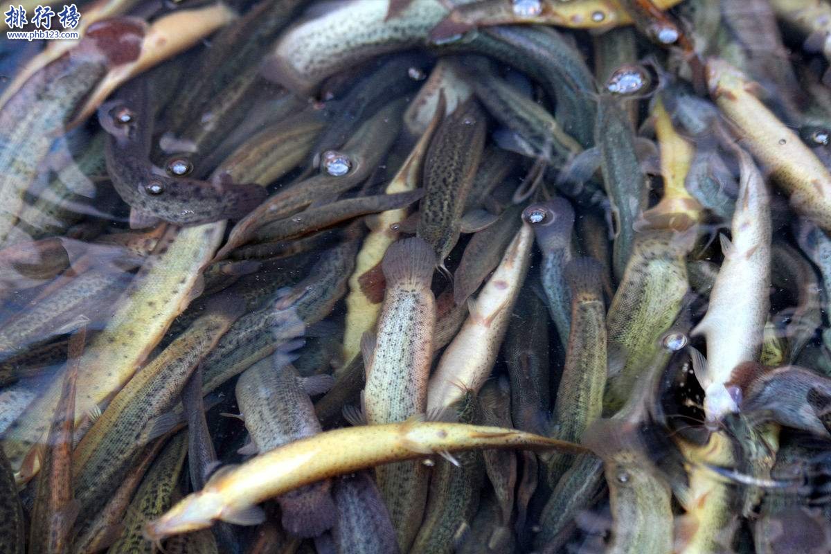 中国古代八大惊天骗术,中国十大诡异传说