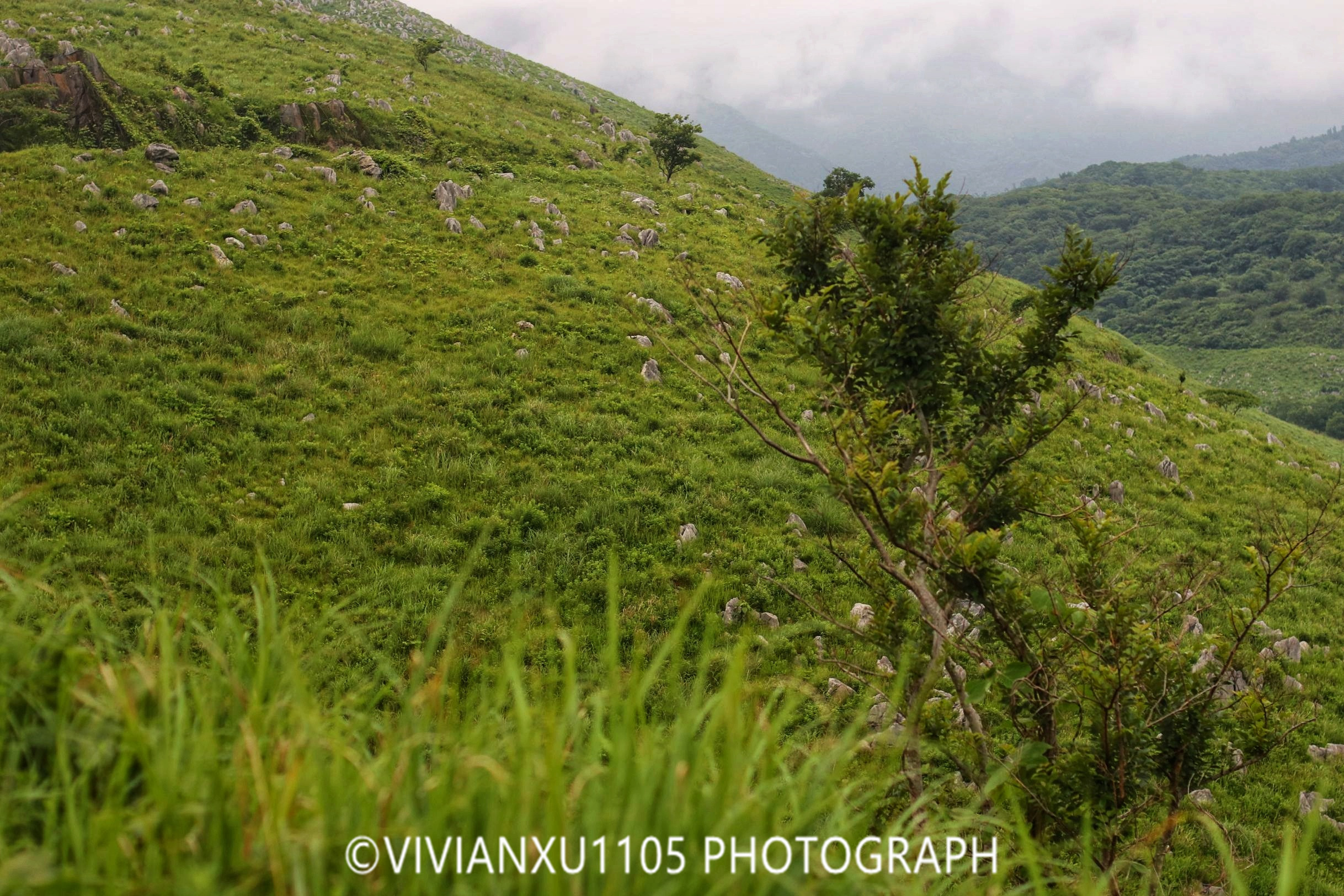 日本本州岛山阴山阳地区纯玩行程美图合集