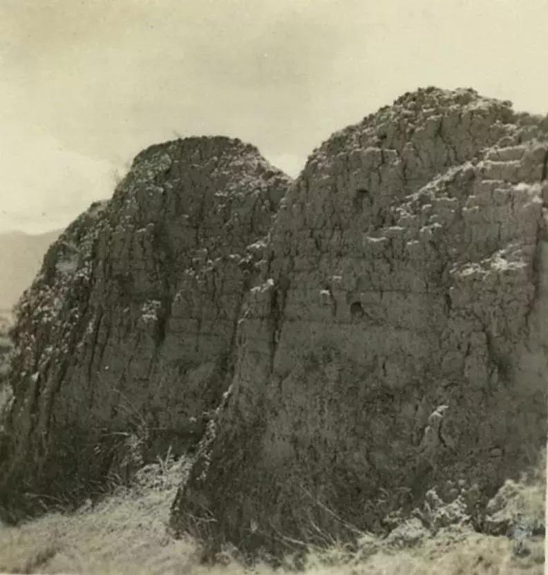 你可能没见过的姓氏,你可能没见过的日语