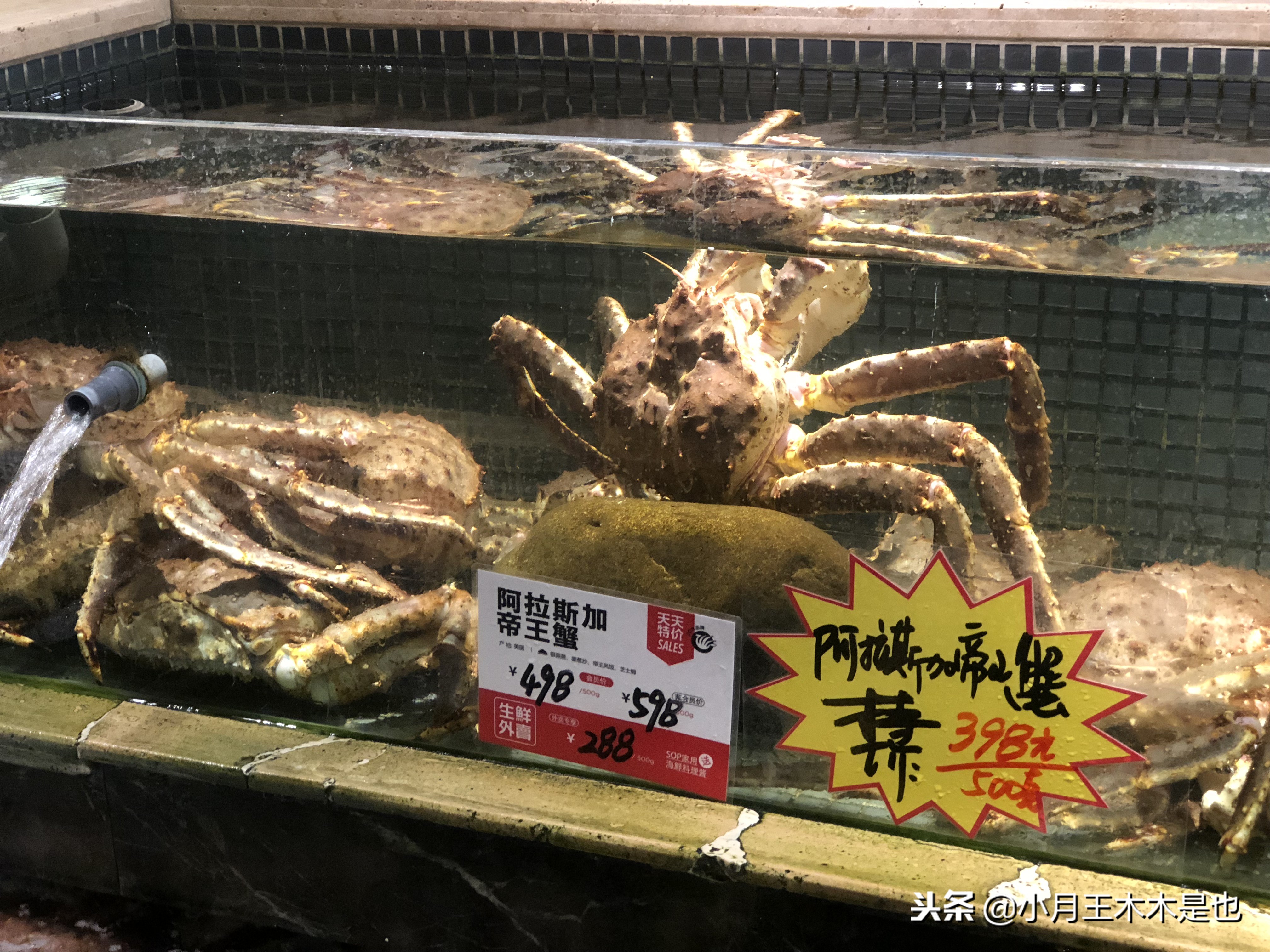 豪生粤式点心自助,半米田粤式点心广州