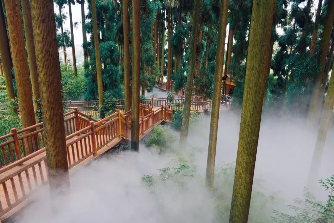 千人亲子运动会圆满成功,亲子健康跑活动方案