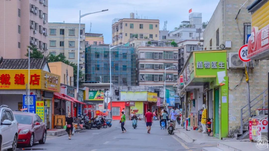 固戍怎么样,固戍为什么这么强